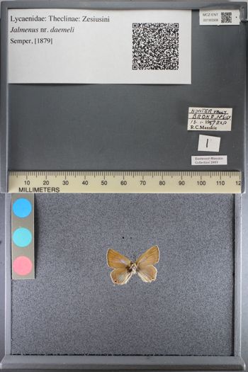Media type: image;   Entomology 193308